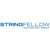 HealthSafeIT by Stringfellow Technology Group logo