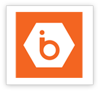 IBEE Hosting logo