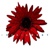 Imedia West logo