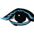 Inceva logo