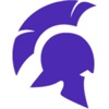 Indominus Consulting logo