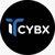 IT CYBX LTD logo