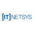 IT Networked Systems logo