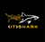 IT Shark logo