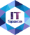 ITSpace Group logo