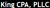 KING CPA, PLLC logo