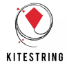 Kitestring Consulting, Inc logo