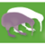 Kiwi Marketing Group logo