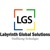 Labyrinth Global Solutions logo