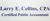 Larry E. Collins, CPA logo