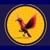 Latino Web Studio logo