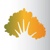 Layman CPA logo