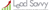 Lead Savvy logo