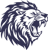 Leo Coders Private Limited logo