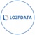 LozpData Software Solutions logo