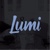 Lumi Agency logo