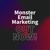 Magnet Monster logo