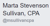 Marta Stevenson Sullivan, CPA logo