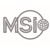 Martin Sloane International logo