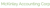 McKinley Accounting Corporation logo