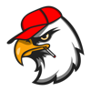 Metal America logo