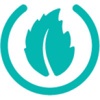 Mint Consulting Australia logo