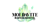 Moldavite Business Booster logo