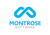 Montrose Software logo
