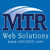 MTR Web Solutions logo
