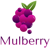 Mulberry Solutions logo