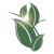 Myers Accounting & Tax LLC logo