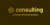 N CONSULTING PREMIUM FINANCIAL SERVICES SINGLE P.C. logo