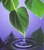Nancy Dill Consulting logo