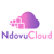 NdovuCloud Technologies logo