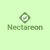 Nectareon Technologies logo