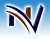 Neovision Consulting Inc logo