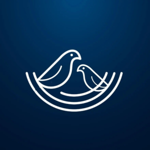 Nest Software Private Ltd logo