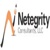 Netegrity Consultants, LLC logo