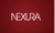Nexura Internacional logo