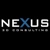 Nexus 3D Consulting logo