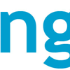 ng experts logo