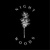 nightwoods Bartosz Szczepaski logo