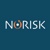 Norisk Srl logo