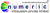 Numeric Infosystem Pvt Ltd logo