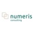 Numeris Consulting logo
