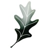Oak Leaf Management logo