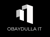 Obaydulla IT logo