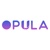 Opula Software Development Pvt. Ltd. logo