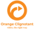 Orange Clignotant logo