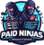 PAIDNINJAS SOFTWARE & IT SOLUTIONS logo